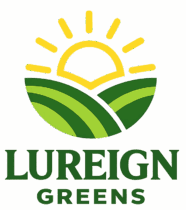 chatgpt image jan 13, 2026, 12 02 51 am