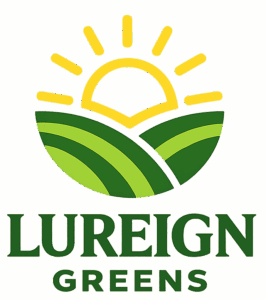 chatgpt image jan 13, 2026, 12 02 51 am