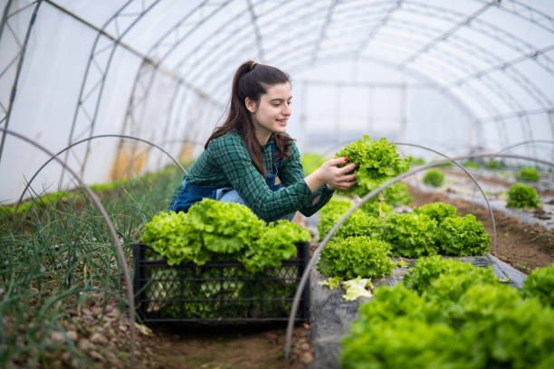 istockphoto 1463413543 612x612